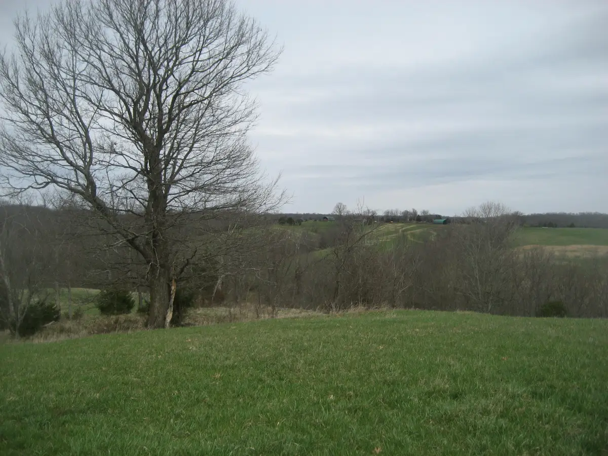 0000 N North Rays Fork Road, Sadieville, KY 40370 - #1