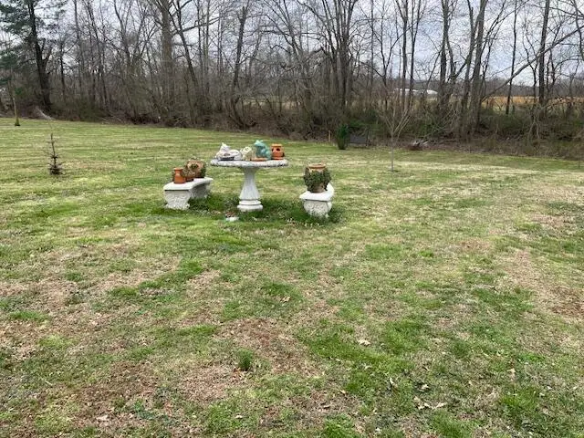 87 Railroad Street, Salt Lick, KY 40371 - #3