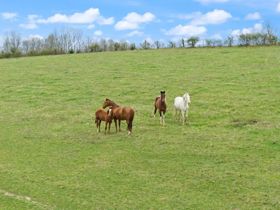 2690 Pond School Road, Kings Mountain, KY 40442 - #2