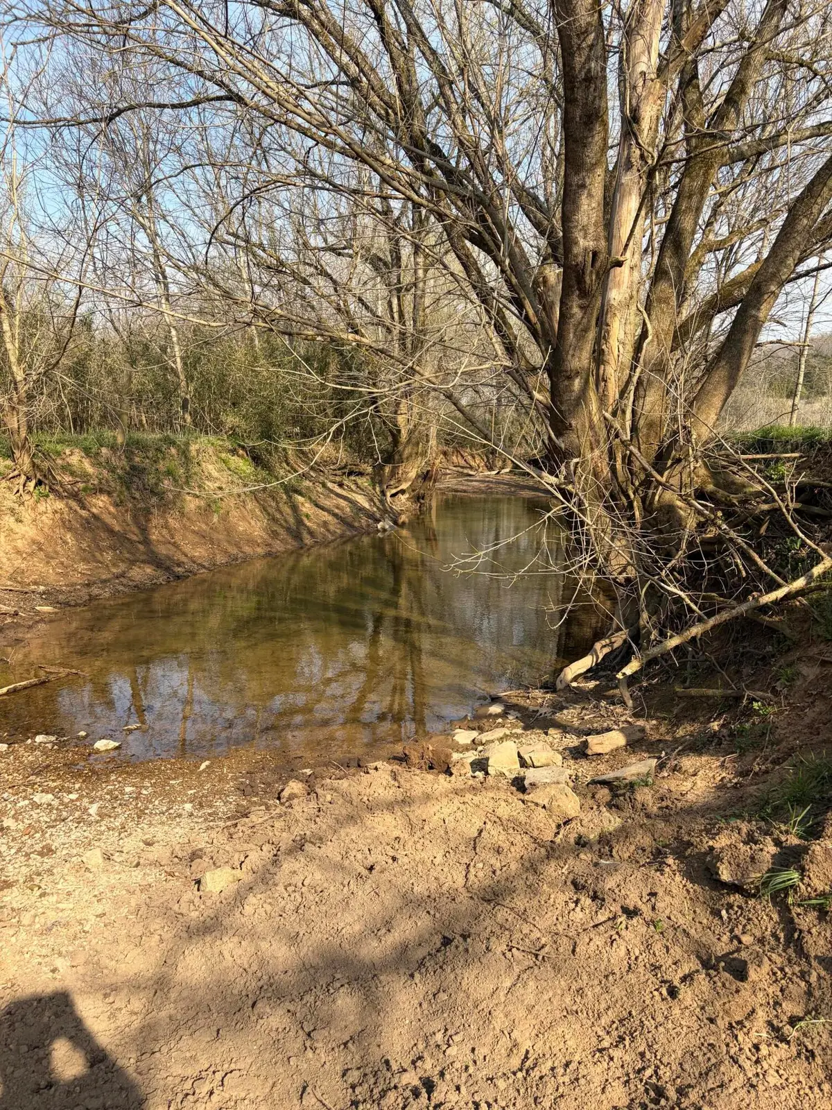 603 State Hwy 1003, Somerset, KY 42501 - #1