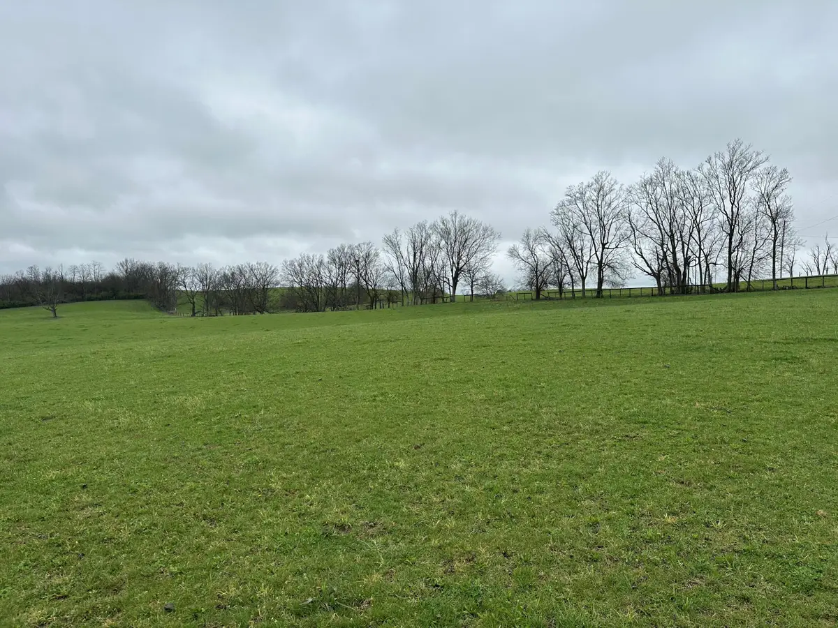 1070 College Road, Paris, KY 40361 - #1