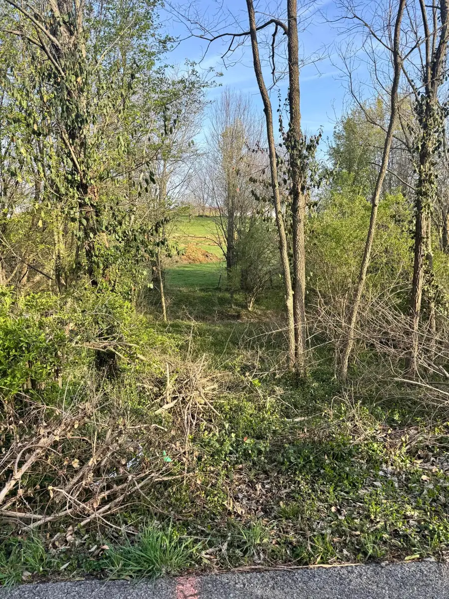 Lot #4 Freeman Lane, Salvisa, KY 40372 - #3