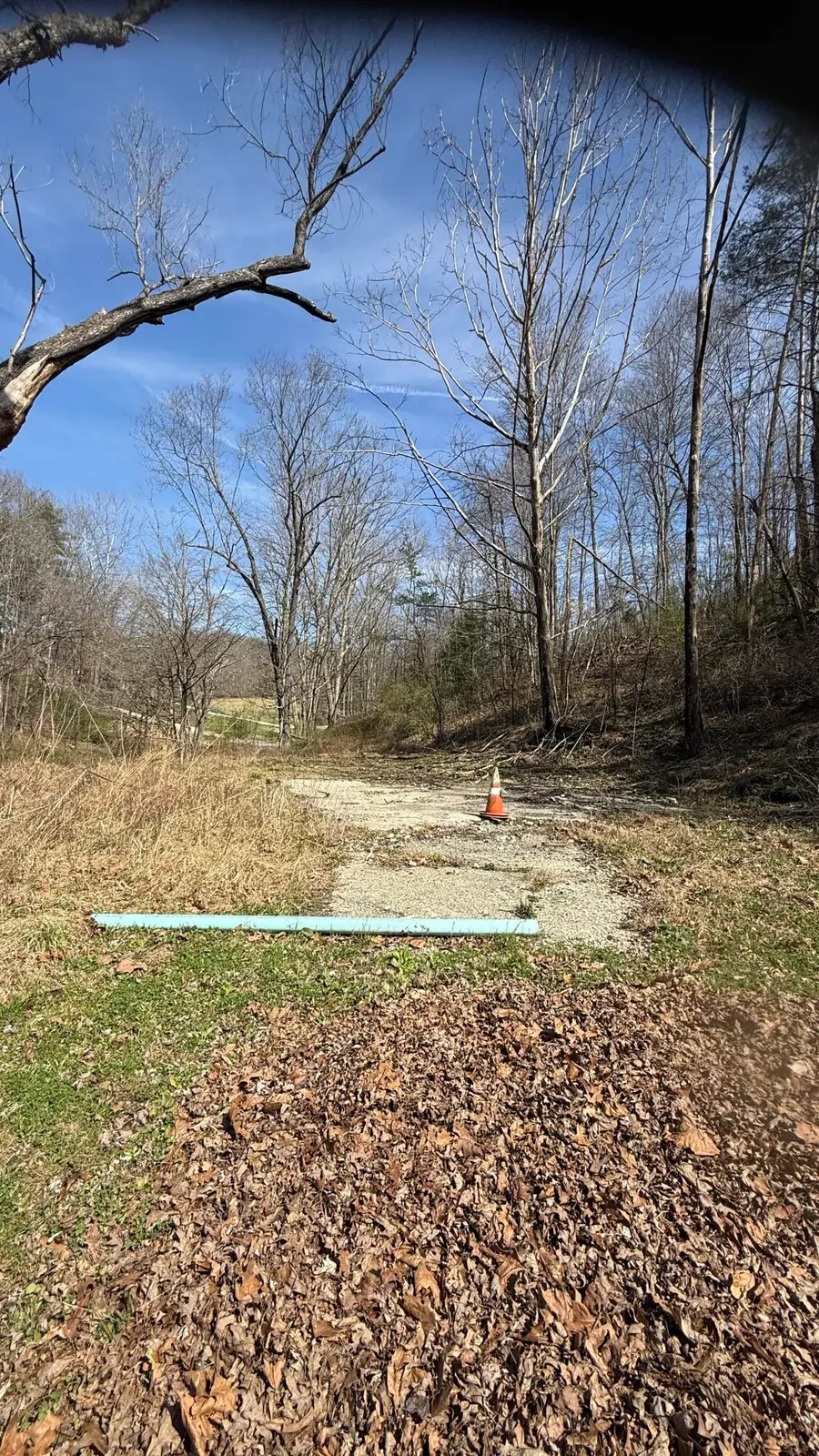 3965 Open Fork Road, Morehead, KY 40351 - #2