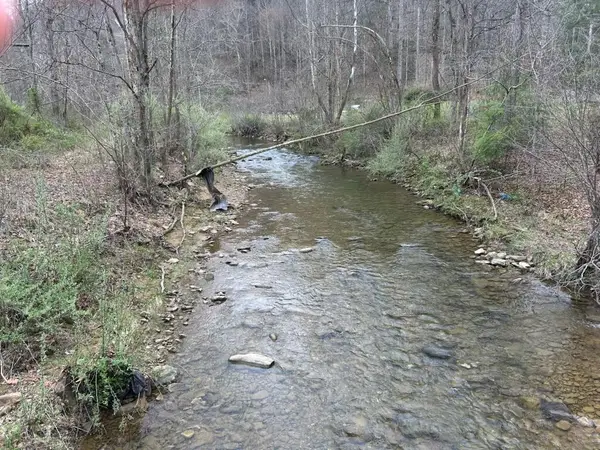 225 White Oak Lane, Warbranch, KY 40874