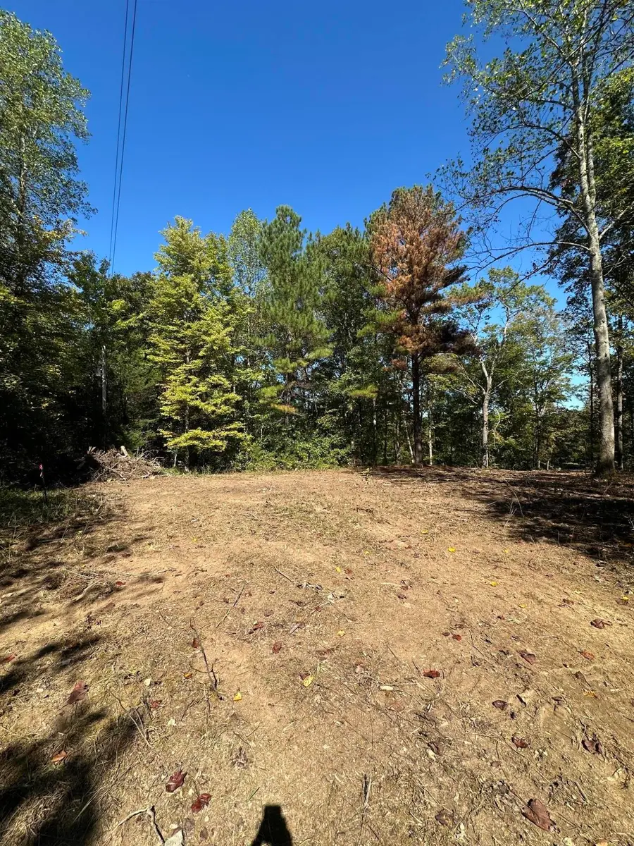 282 Sugar 2 Road, Nancy, KY 42544 - #3