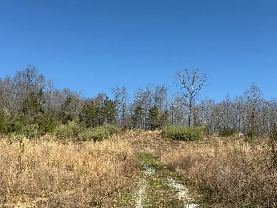 000 North Us Hwy 25e Road, Gray, KY 40734 - #3