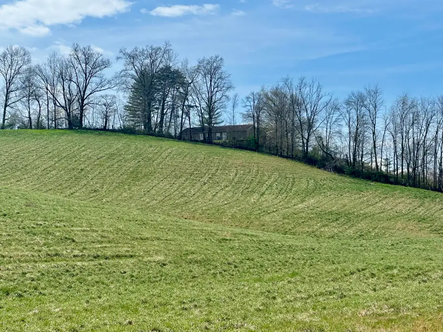 133  Jaguar Way, London, KY 40741 - #3