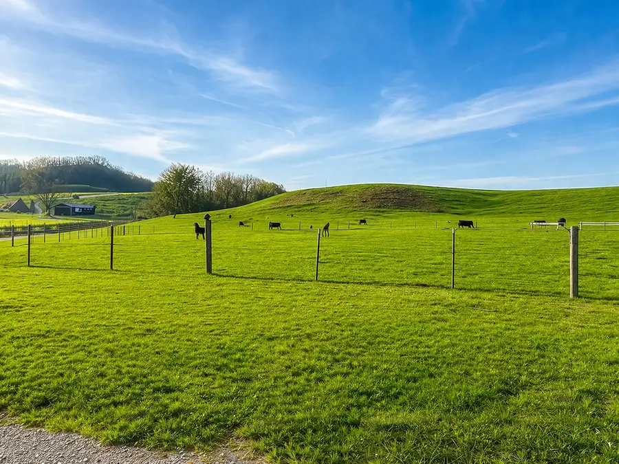 620 Norris Road, Hustonville, KY 40437 - #3