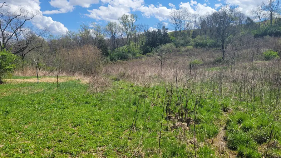 TBD Day Road, Owingsville, KY 40360 - #2