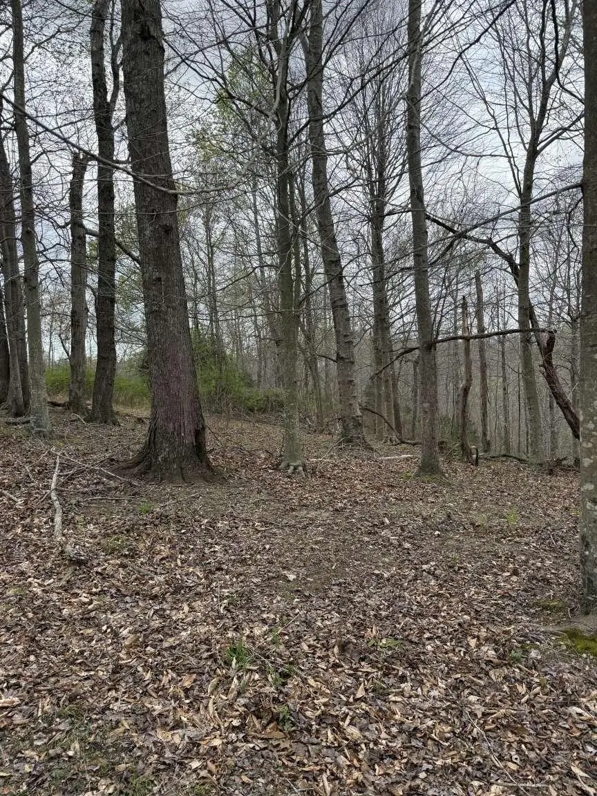 5483 Subtle Road, Edmonton, KY 42129 - #3