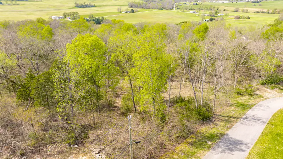 80 Deer Trail, Monticello, KY 42633 - #3