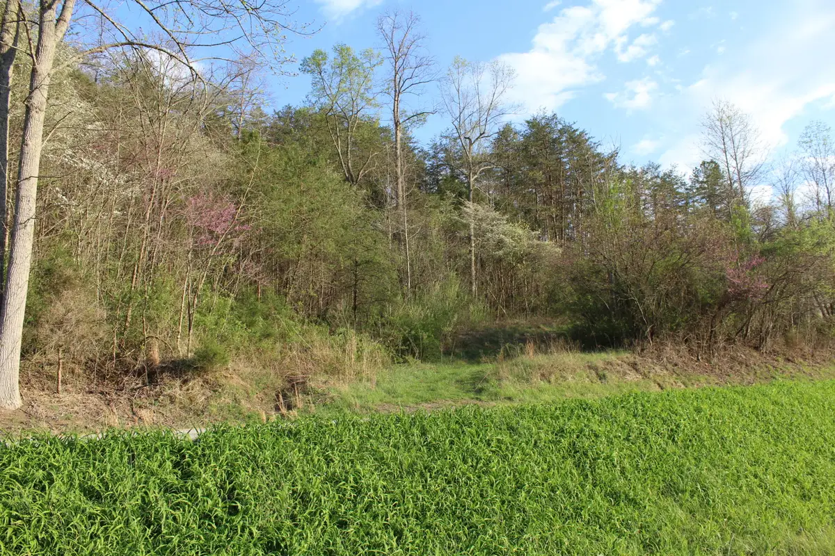 3602 Wagersville Road, Irvine, KY 40336 - #1