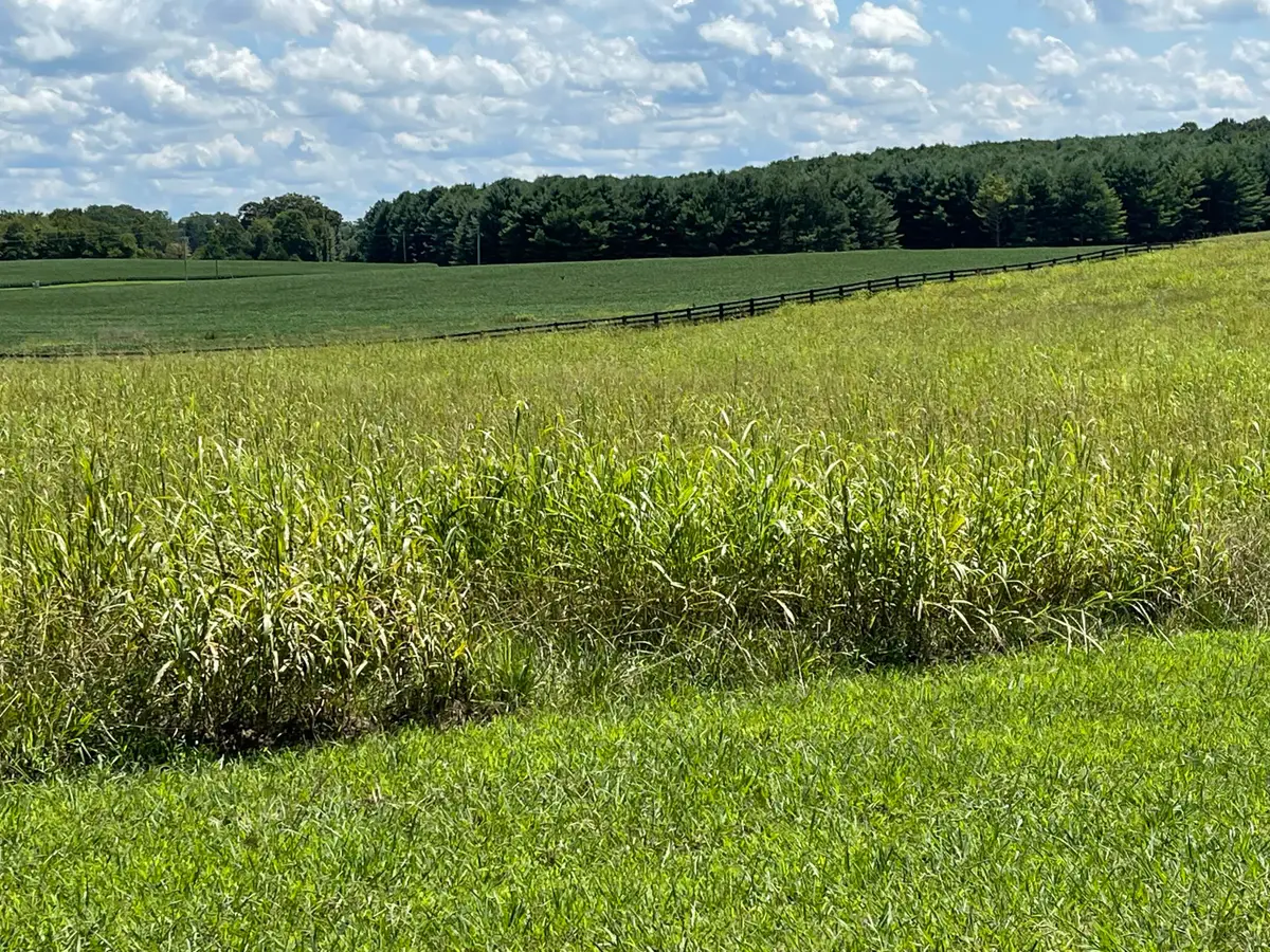 40 Beacon Street, Russell Springs, KY 42642 - #1