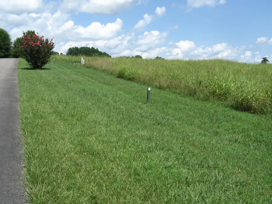 40 Beacon Street, Russell Springs, KY 42642 - #2