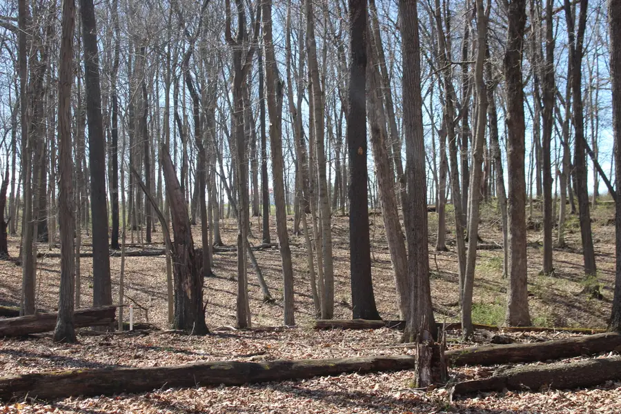 1694 Poindexter Road, Cynthiana, KY 41031 - #3