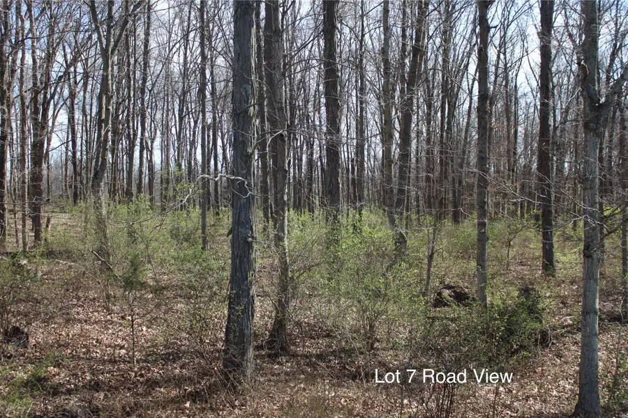 1600 Poindexter Road, Cynthiana, KY 41031 - #3