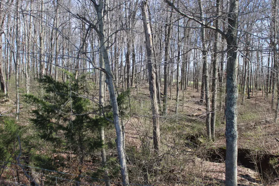 1480 Poindexter Road, Cynthiana, KY 41031 - #3