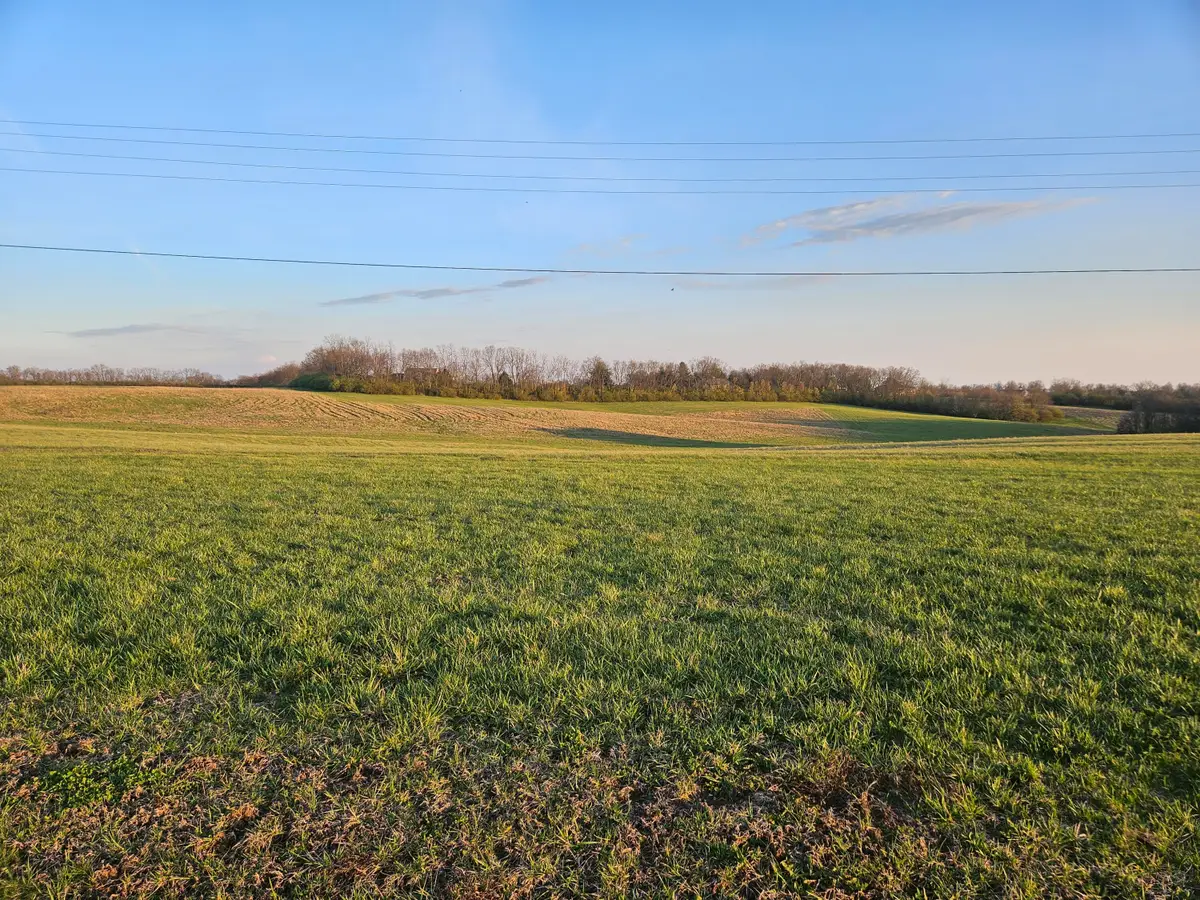 4016 Talon Way #5, Lexington, KY 40515 - #1