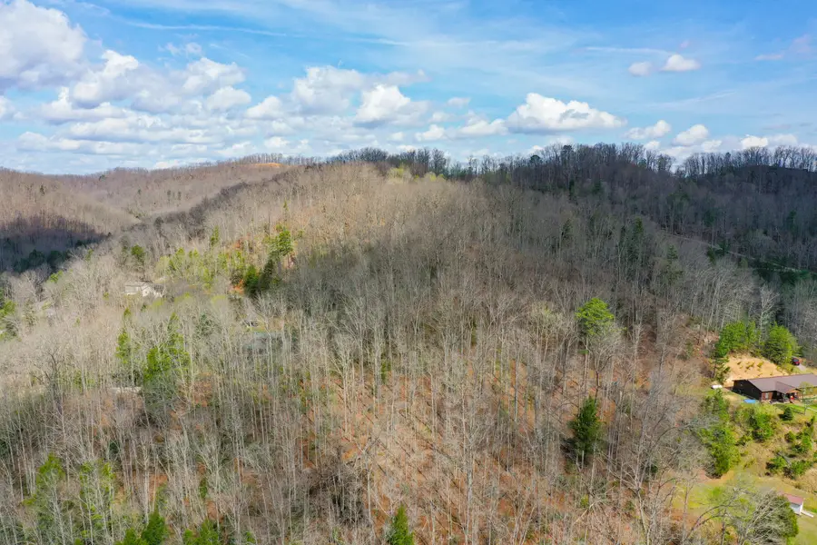 0000 Laurel Branch Road, Stinnett, KY 40868 - #2