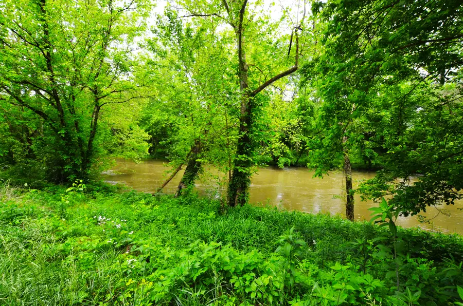 73 Butter Point Road, Jackson, KY 41339 - #3