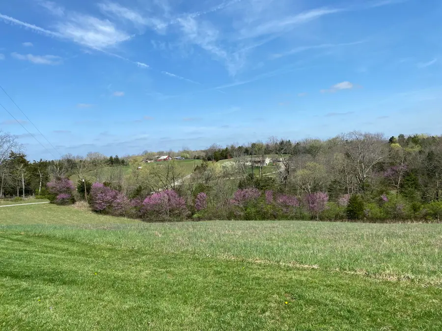 317 Short Road, Salvisa, KY 40372 - #3