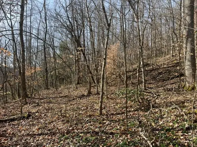 326 Earl Crisp Road, Sandy Hook, KY 41171 - #1