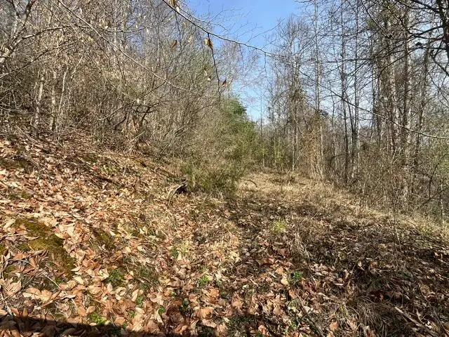 326 Earl Crisp Road, Sandy Hook, KY 41171 - #2