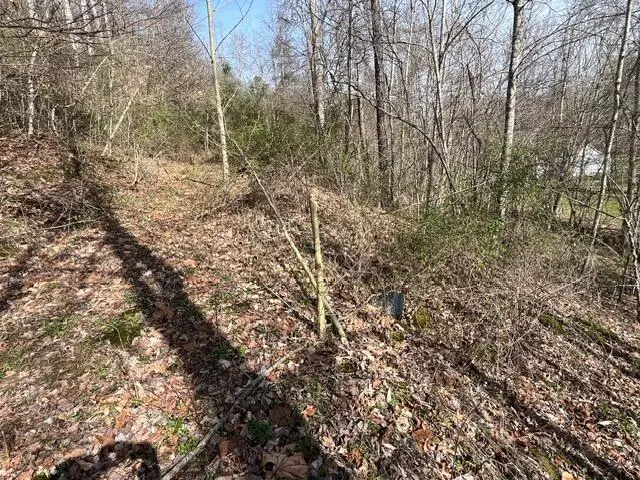 326 Earl Crisp Road, Sandy Hook, KY 41171 - #3