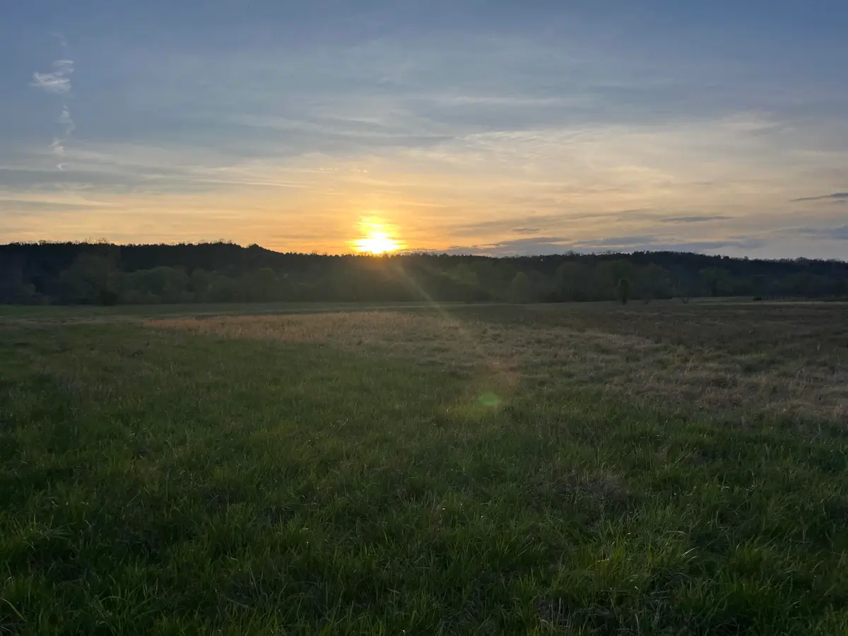 3961 Jackson Ferry Road, Winchester, KY 40391 - #1