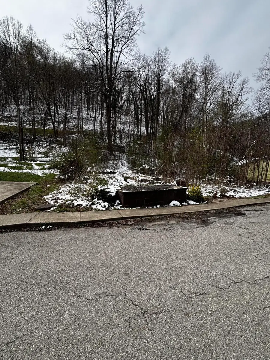 206 Hall Hollow Road, Bevinsville, KY 41606 - #2