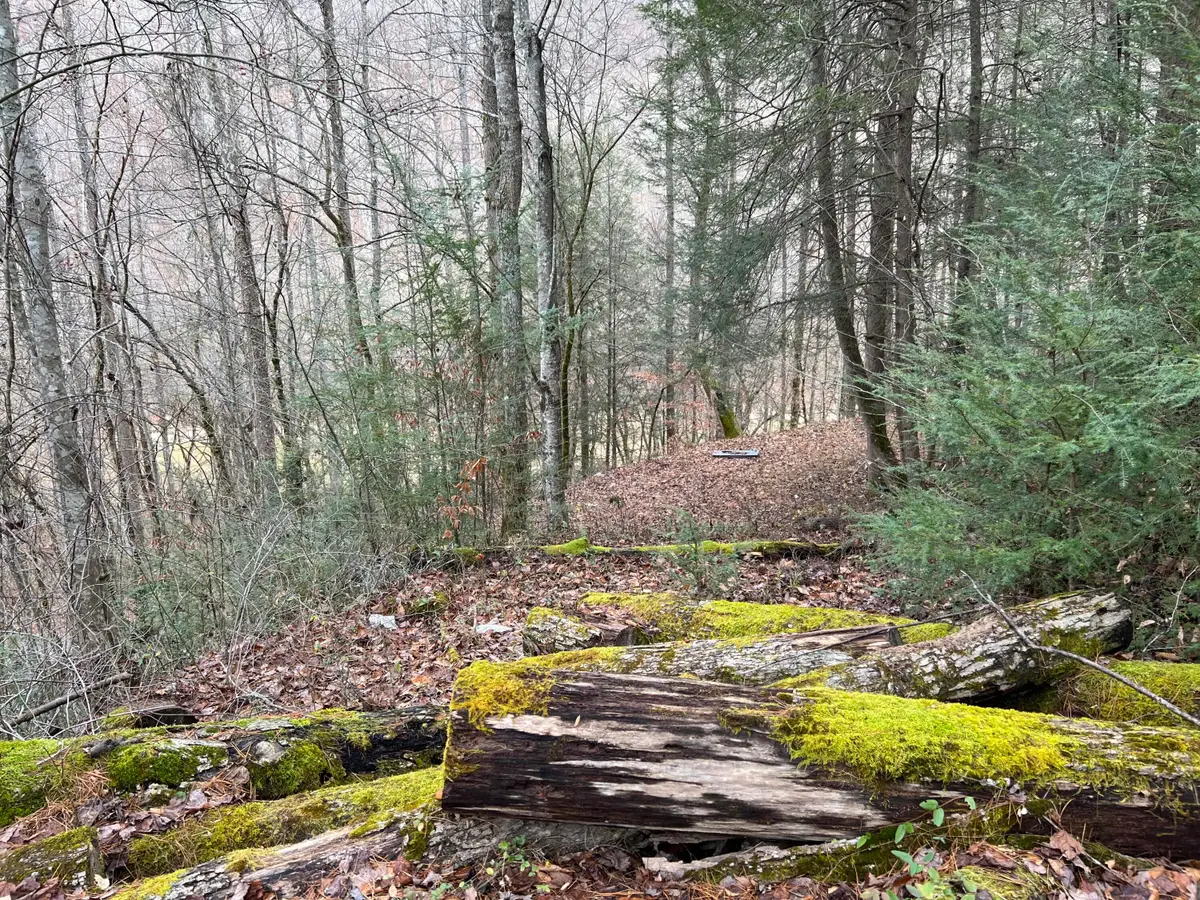 2774 Mosley Bend Road, Hyden, KY 41749 - #1