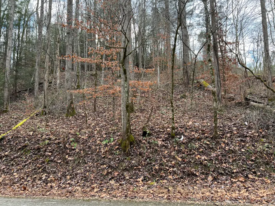 2774 Mosley Bend Road, Hyden, KY 41749 - #2