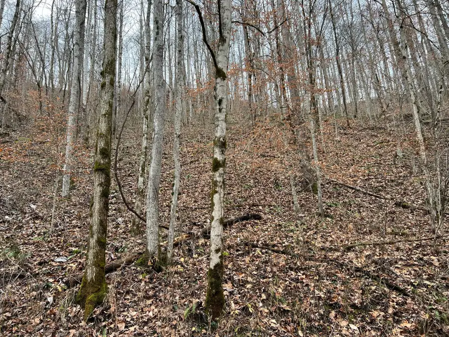 2774 Mosley Bend Road, Hyden, KY 41749 - #3