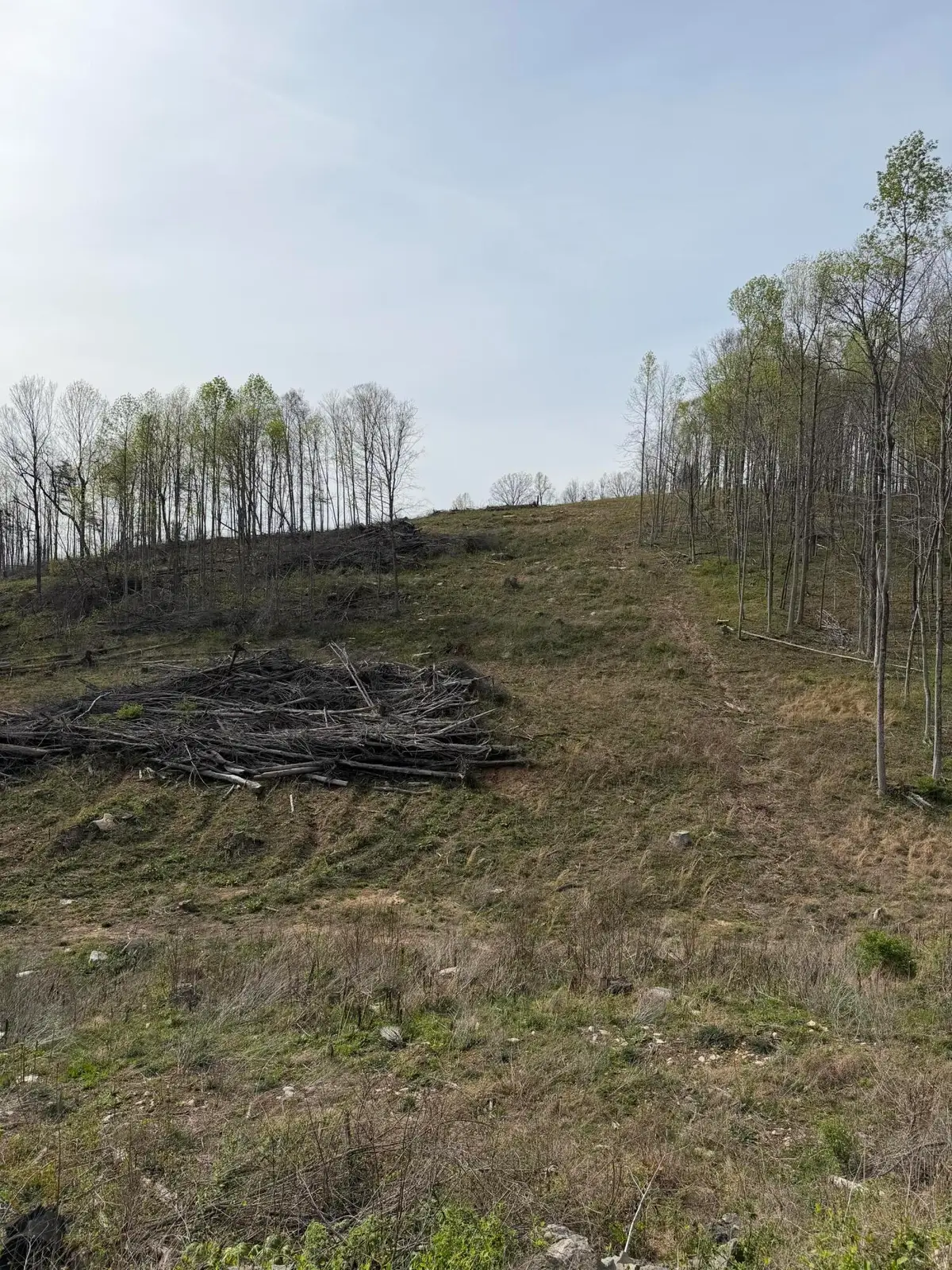 Track 4 White Rock Road #Track 4, Mount Vernon, KY 40456 - #1