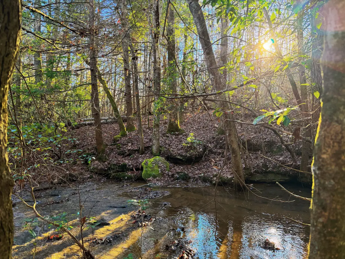 9999 Gibson Lane, Williamsburg, KY 40769 - #1