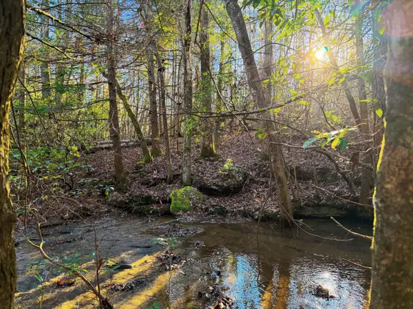 8888 Gibson Lane, Williamsburg, KY 40769