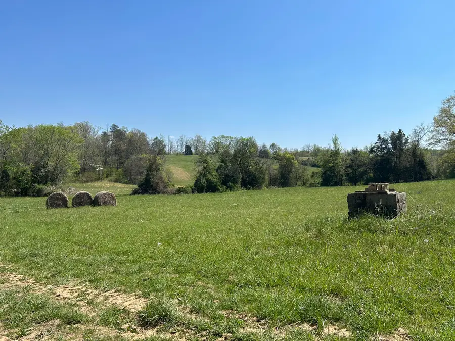 9999 Acreyville Road, Monticello, KY 42633 - #3