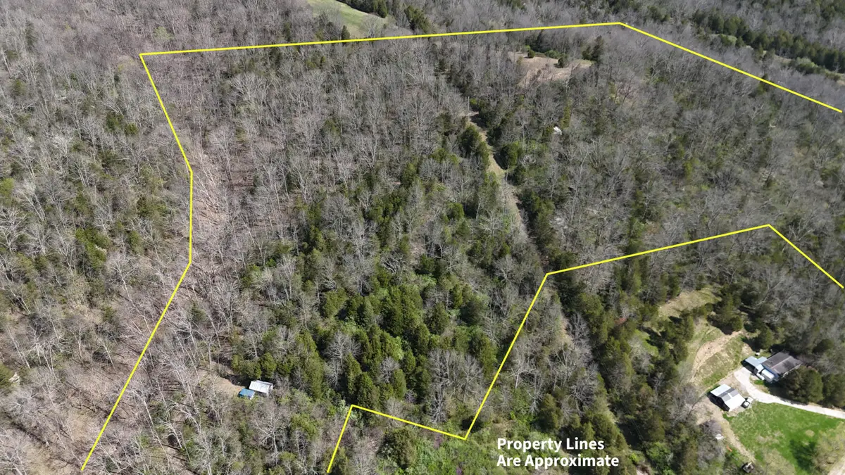 215 Big Twin Creek Road, Worthville, KY 41098 - #1