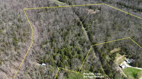 215 Big Twin Creek Road, Worthville, KY 41098