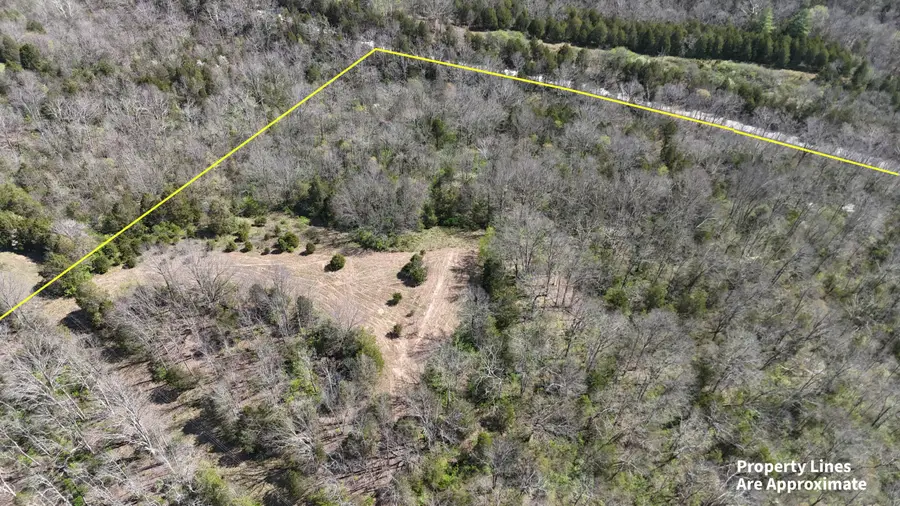 215 Big Twin Creek Road, Worthville, KY 41098 - #2