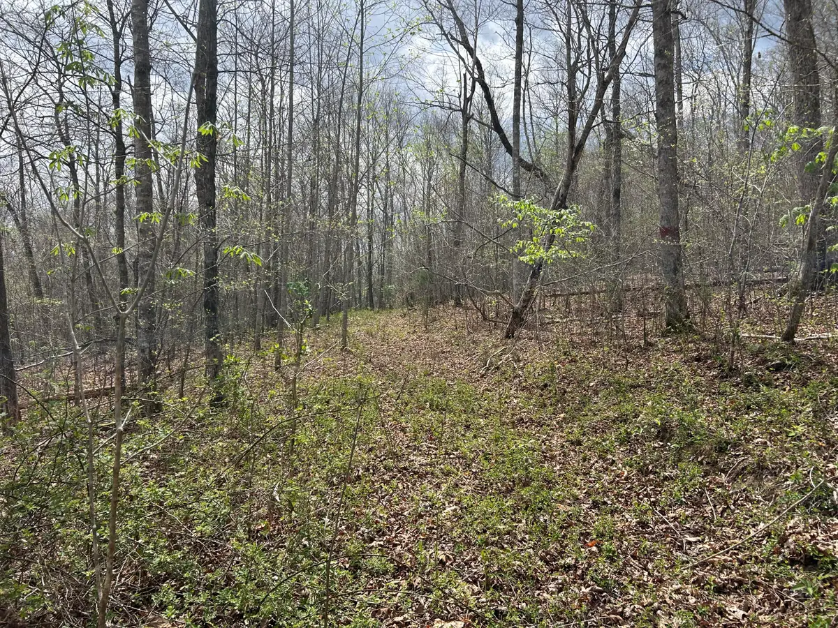 2000b Greenford Road, Monticello, KY 42633 - #1