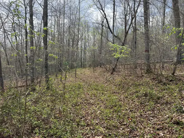 2000b Greenford Road, Monticello, KY 42633