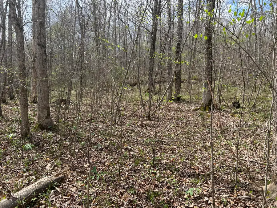 2000b Greenford Road, Monticello, KY 42633 - #2