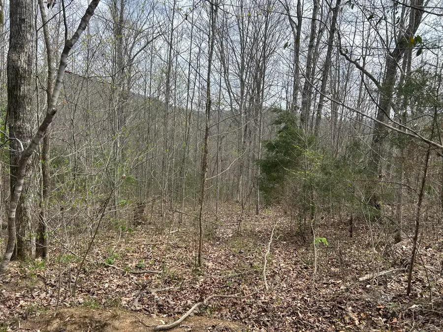 2000b Greenford Road, Monticello, KY 42633 - #3