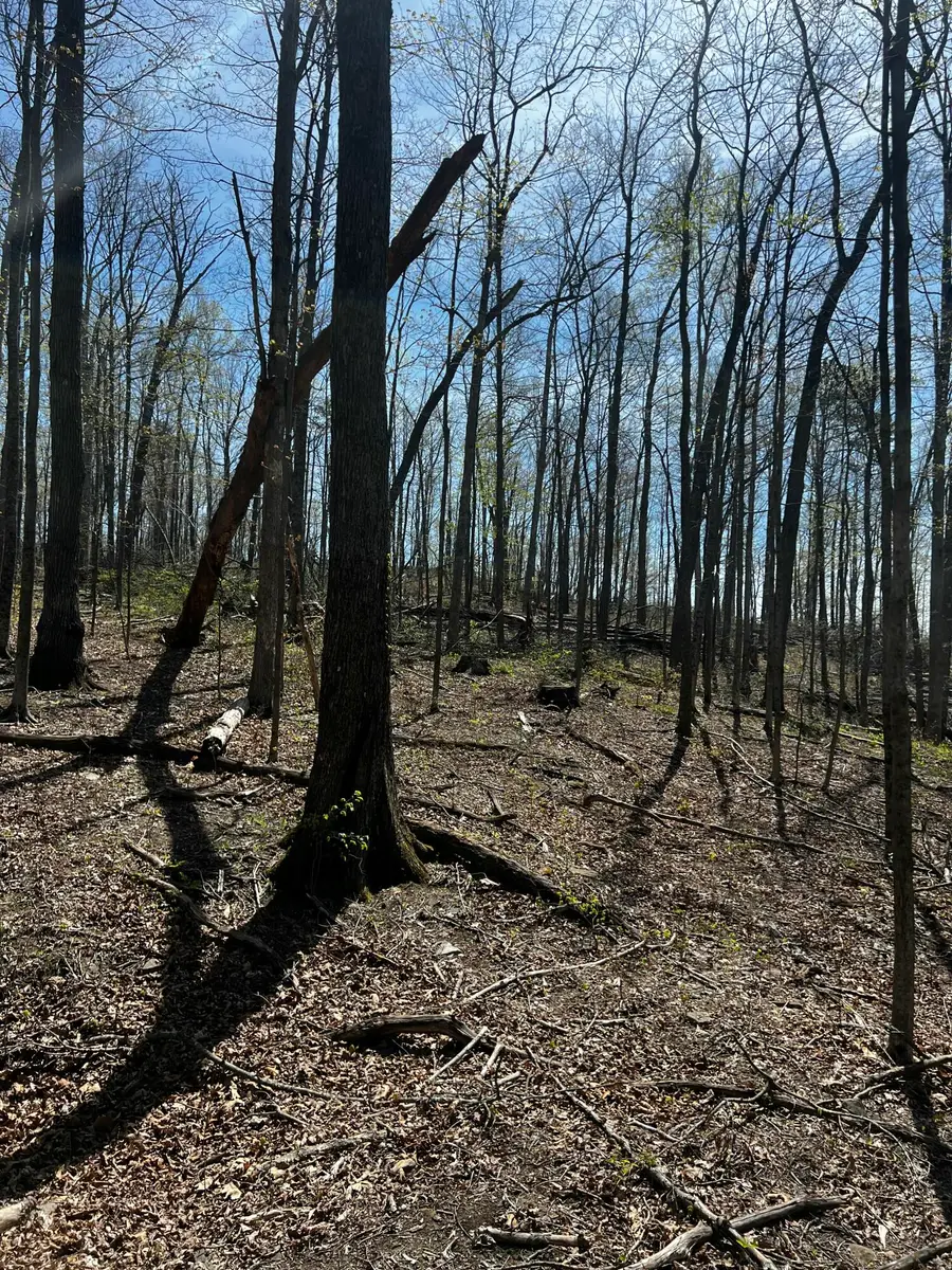 999 Chop Chestnut Road, Stanton, KY 40380 - #2