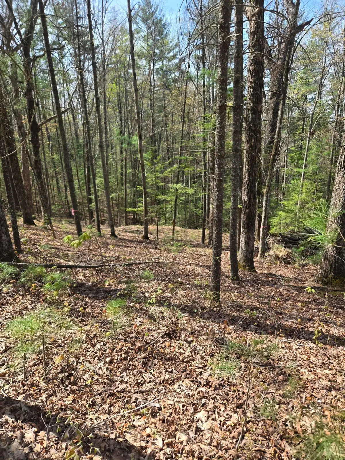 999 Victory Falls #Lot 11, Campton, KY 41301 - #1