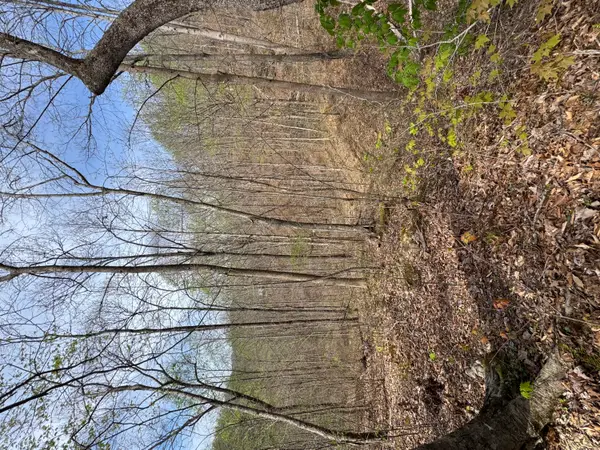 1 Callebs Creek Road, Hinkle, KY 40953