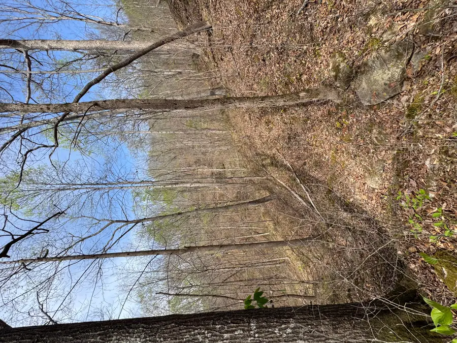 1 Callebs Creek Road, Hinkle, KY 40953 - #2