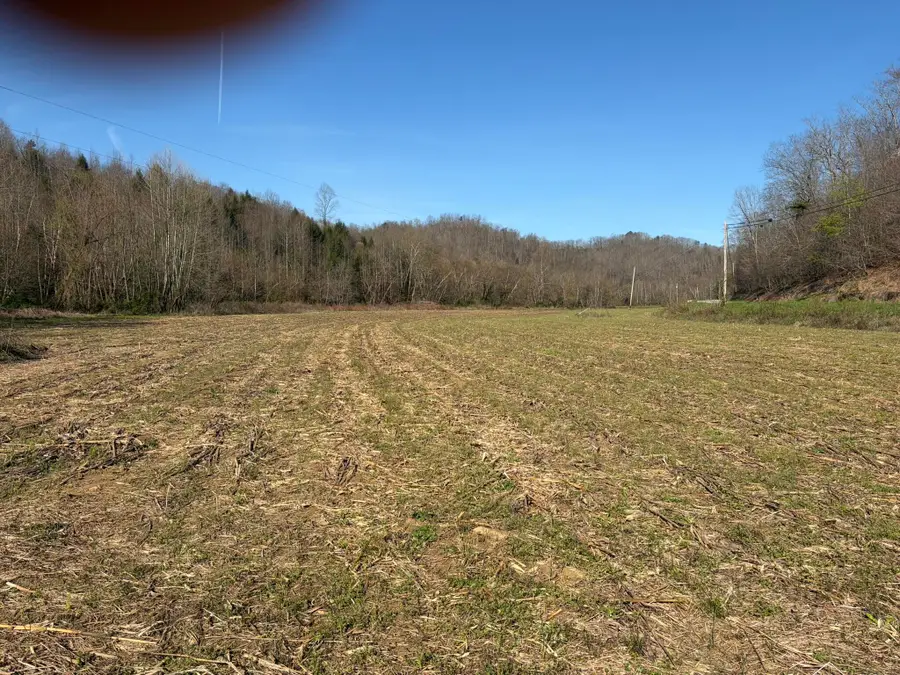 1025 State Highway 589, West Liberty, KY 41472 - #2