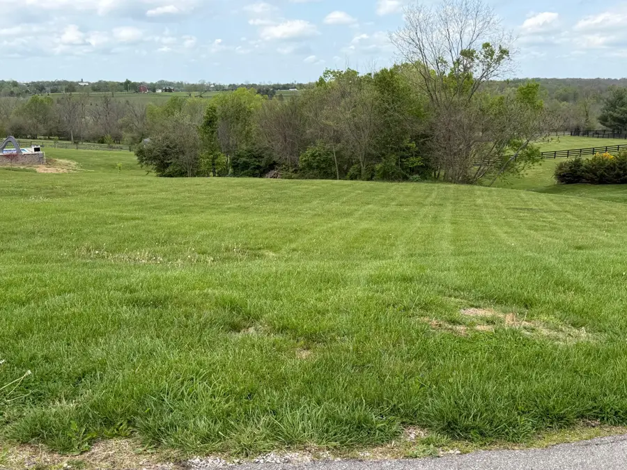 100 Lyn Court, Versailles, KY 40383 - #3